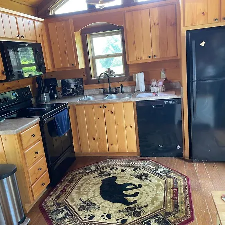 Cabin On Gold Mine Hill Hendersonville Exterior photo