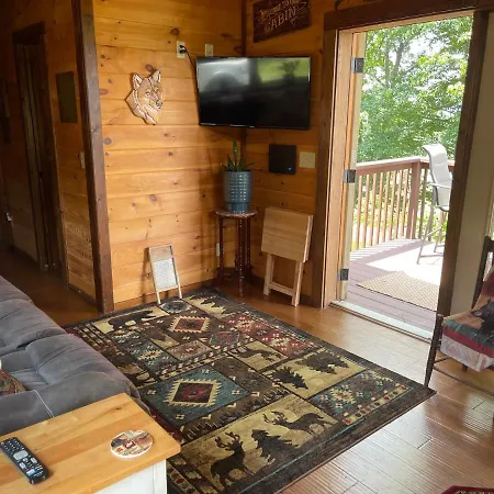 Cabin On Gold Mine Hill Hendersonville Exterior photo