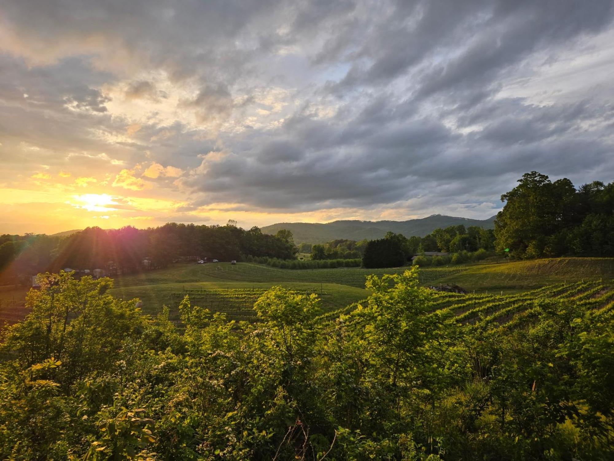 On Gold Mine Hill Hendersonville